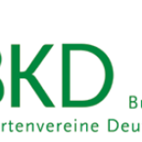 BKD informiert 09/2026