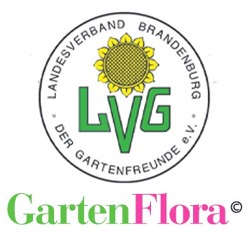 Verbandsinformationen Brandenburger GartenFlora 09/2021